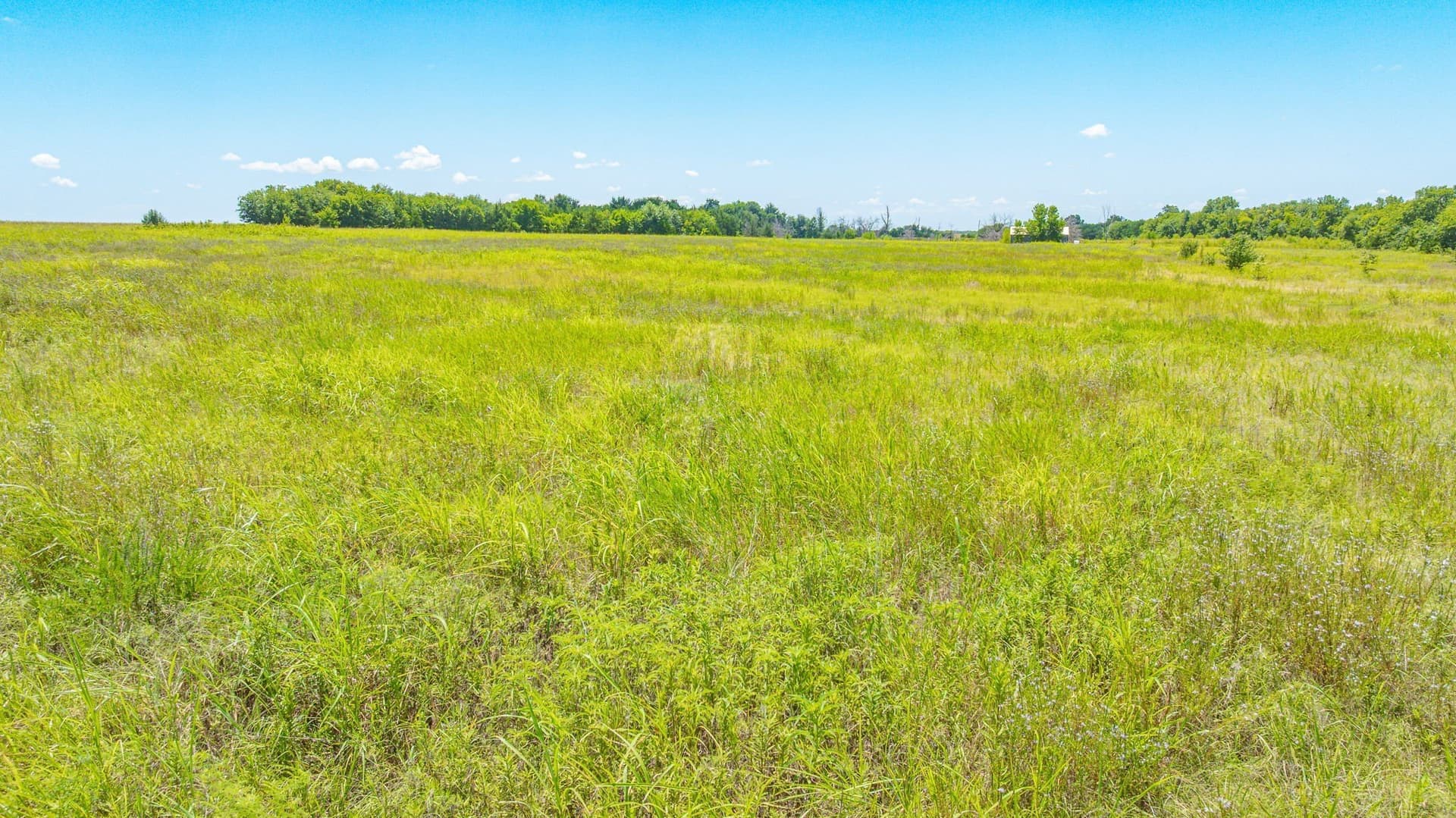 50.52 acres in Delta County - photo 30