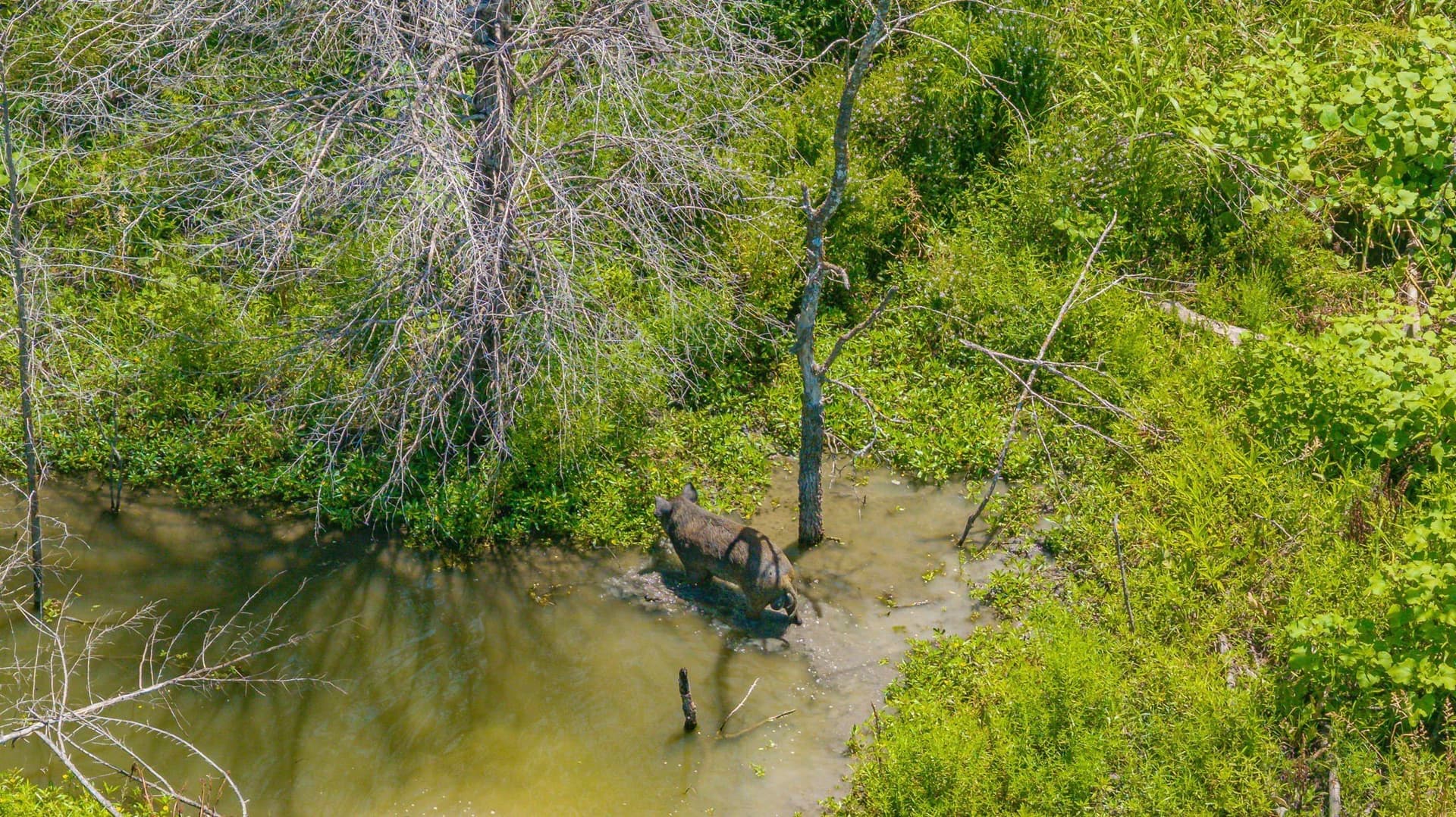 50.52 acres in Delta County - photo 19