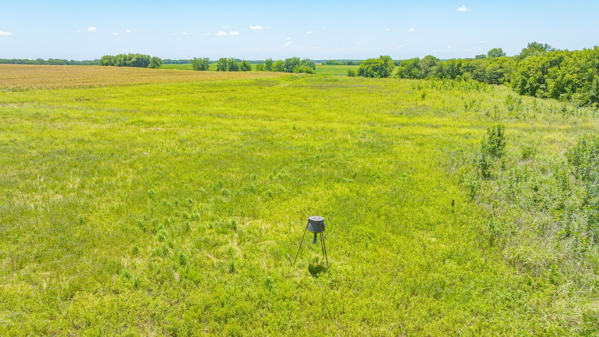50.52 acres in Delta County - photo 25
