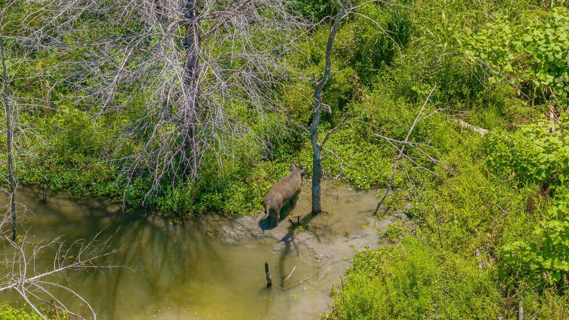 50.52 acres in Delta County - photo 15