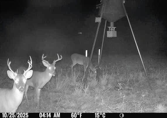 50.52 acres in Delta County - photo 38