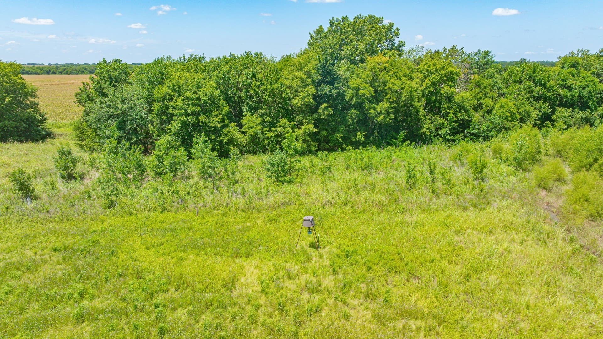 50.52 acres in Delta County - photo 20