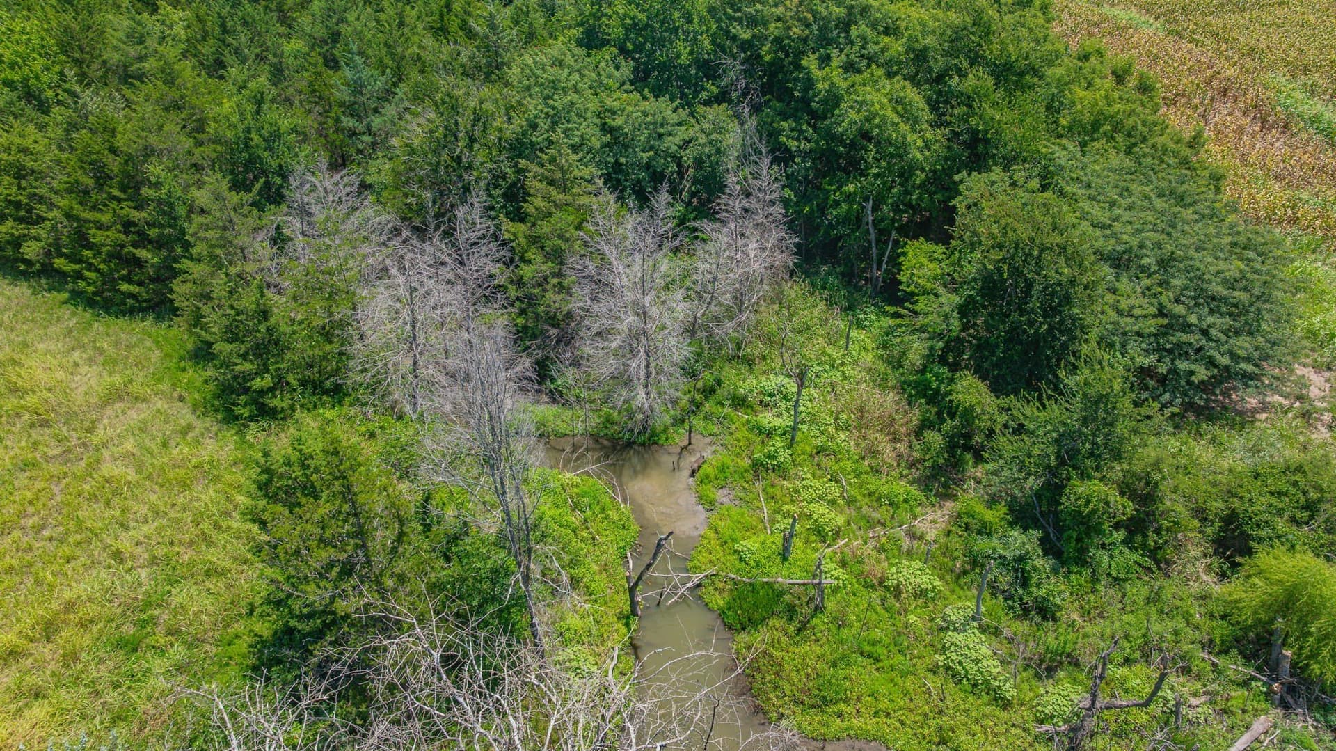 50.52 acres in Delta County - photo 14