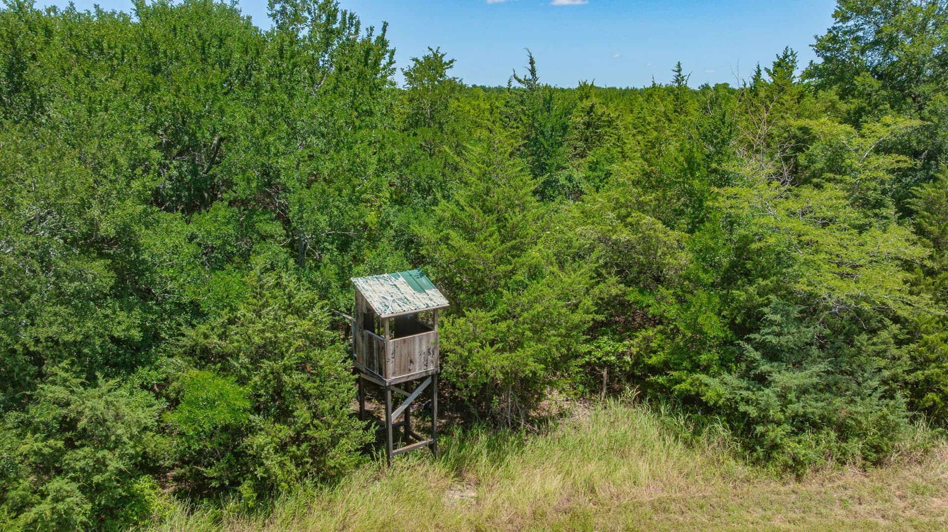 50.52 acres in Delta County - photo 16