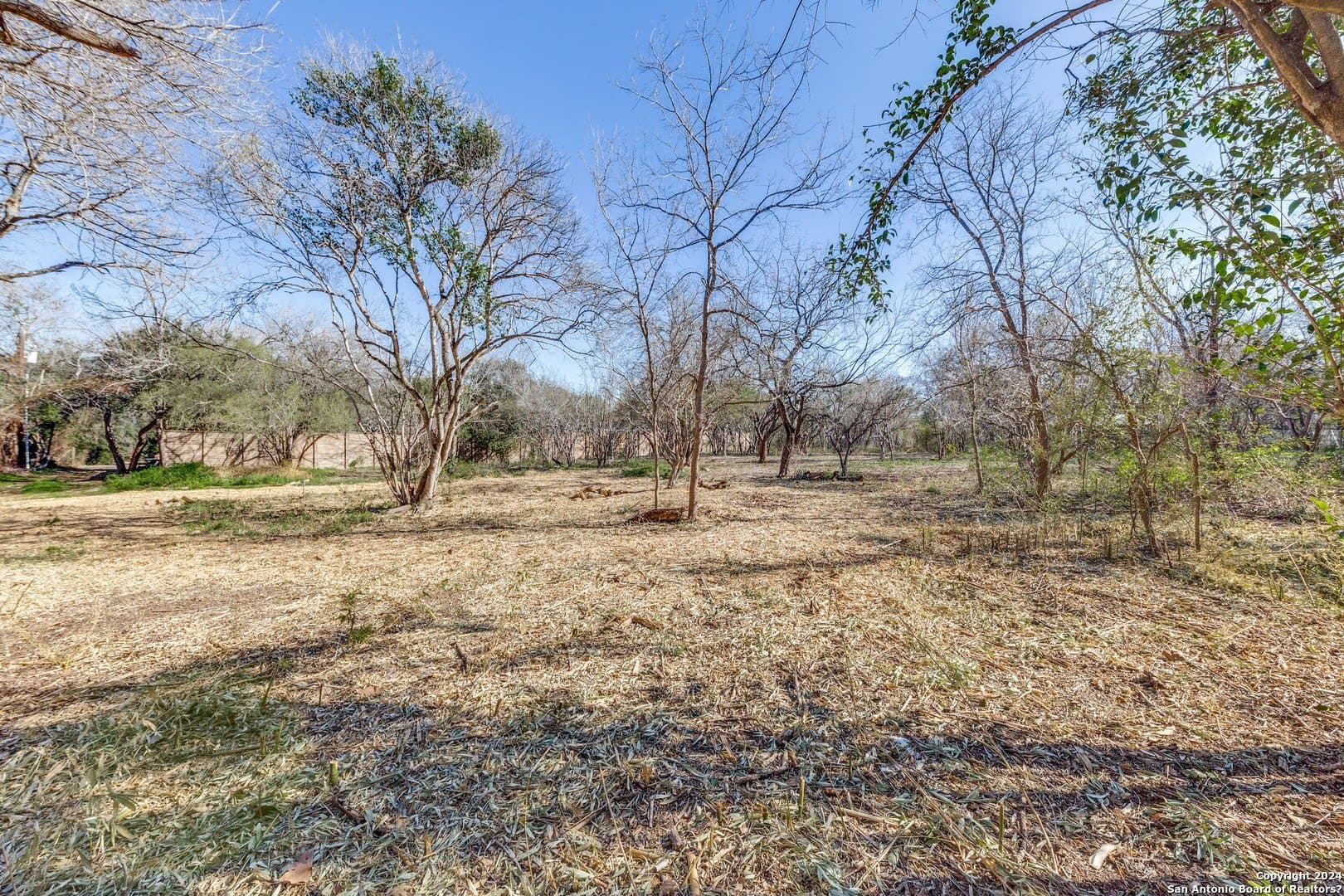 0.78 acres in Bexar County - photo 5