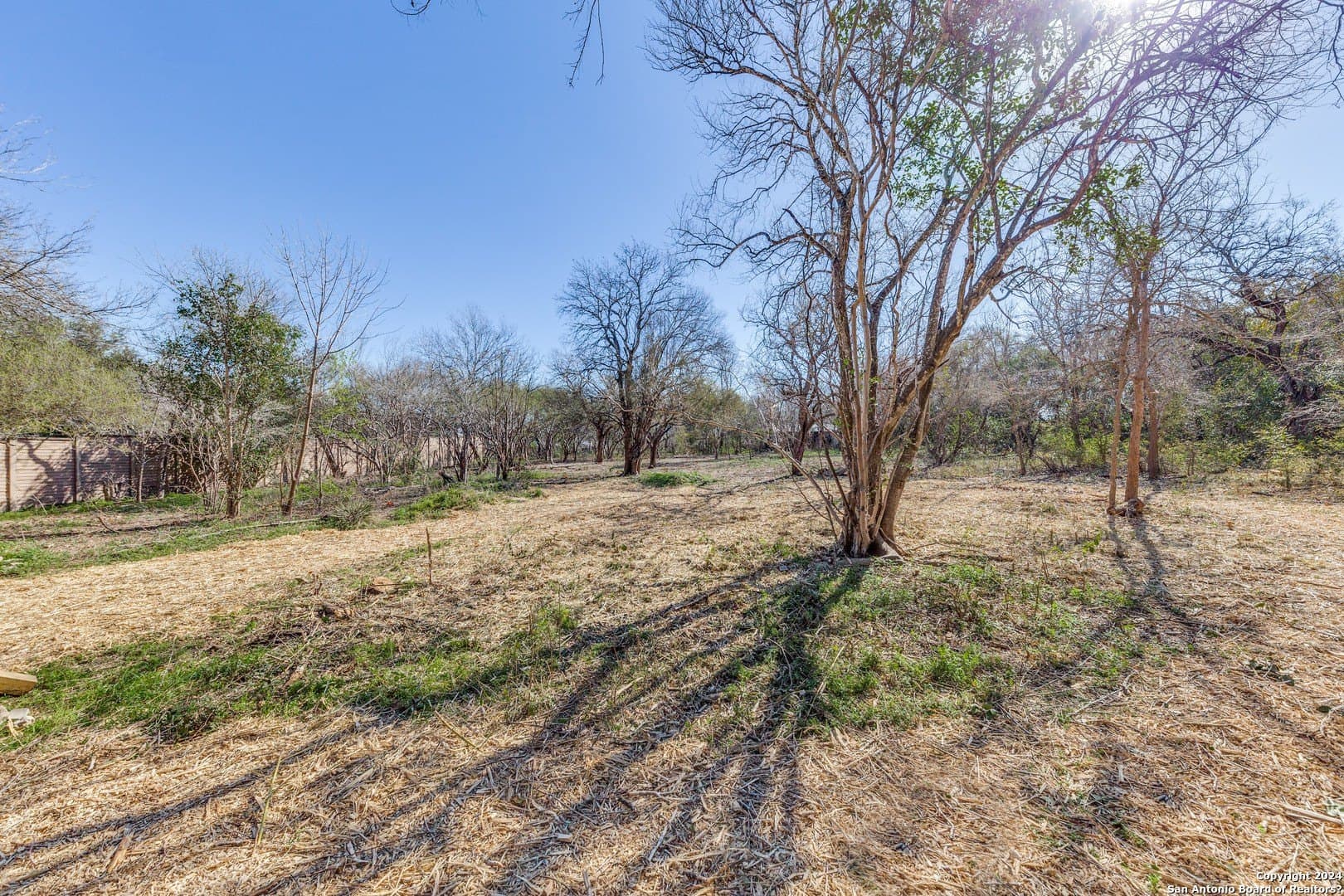 0.78 acres in Bexar County - photo 6