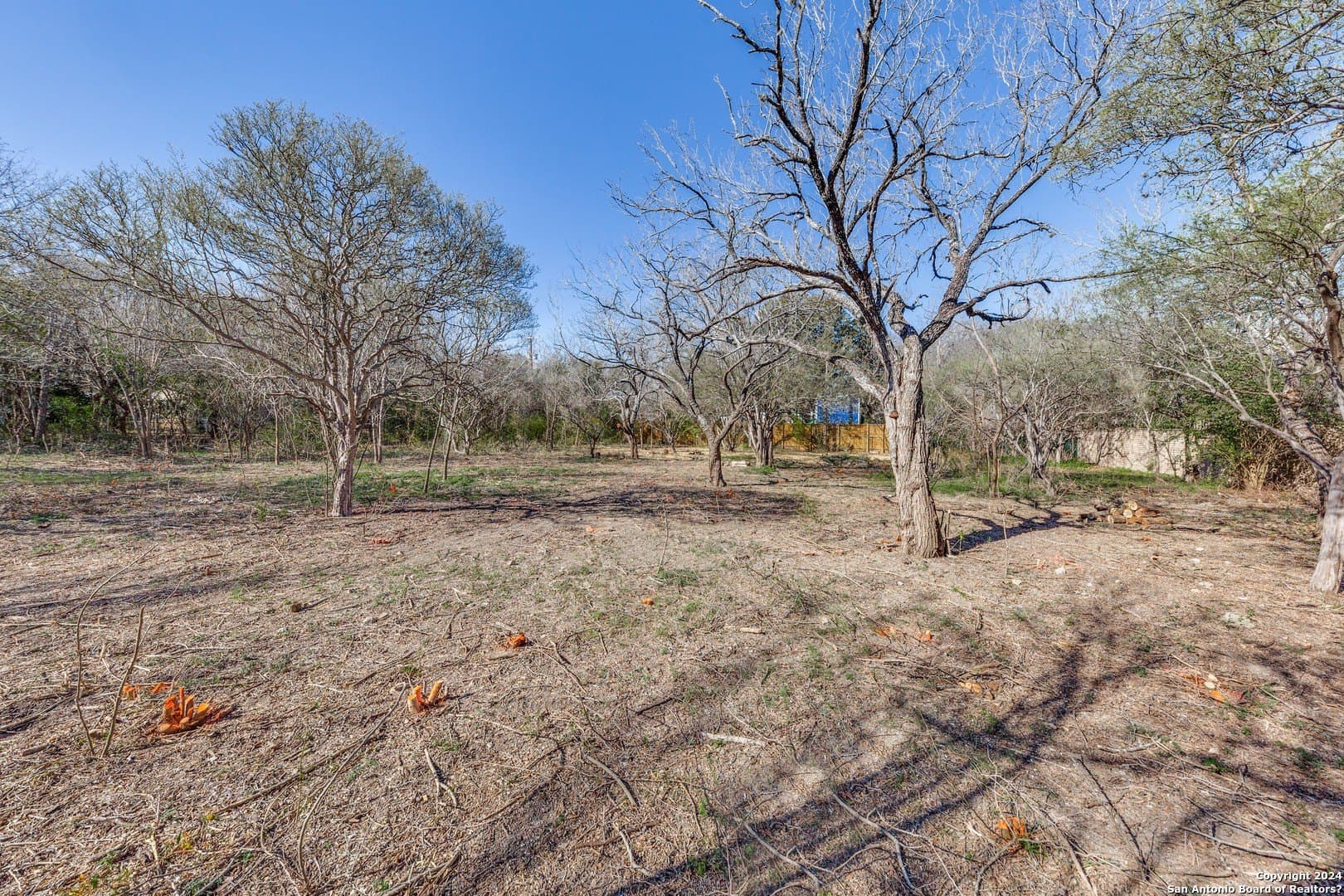 0.78 acres in Bexar County - photo 3