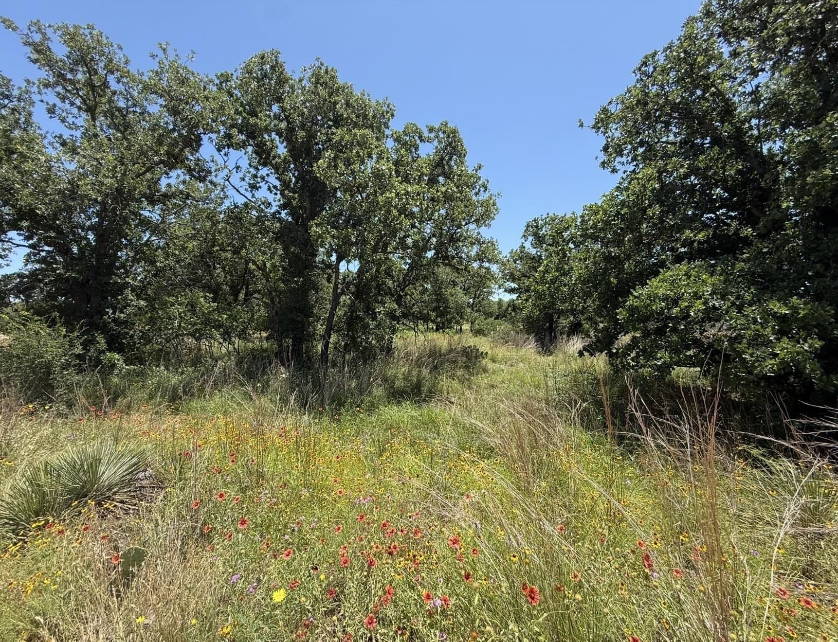 0.26 acres in Llano County gallery image 4