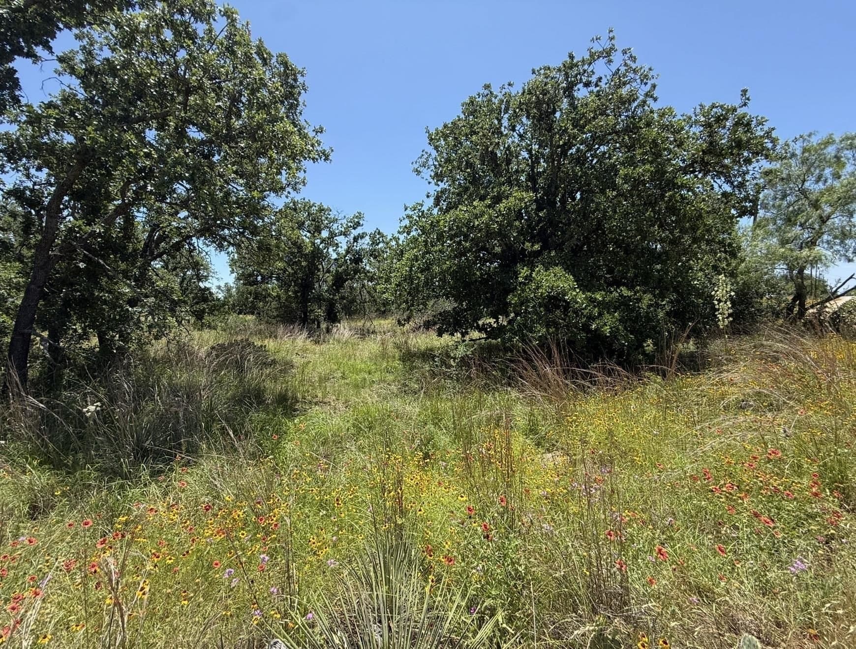 0.26 acres in Llano County featured view