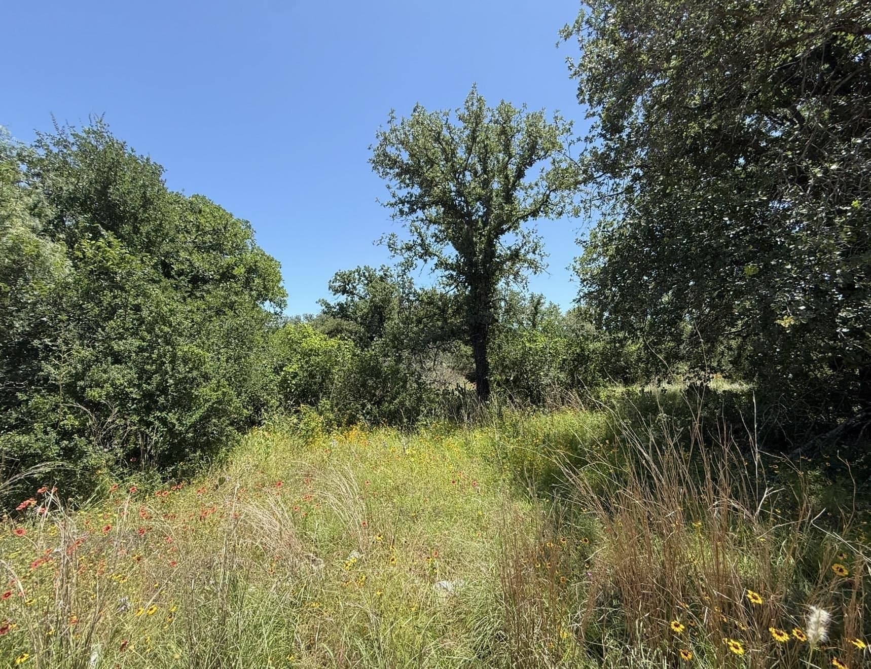 0.26 acres in Llano County gallery image 3