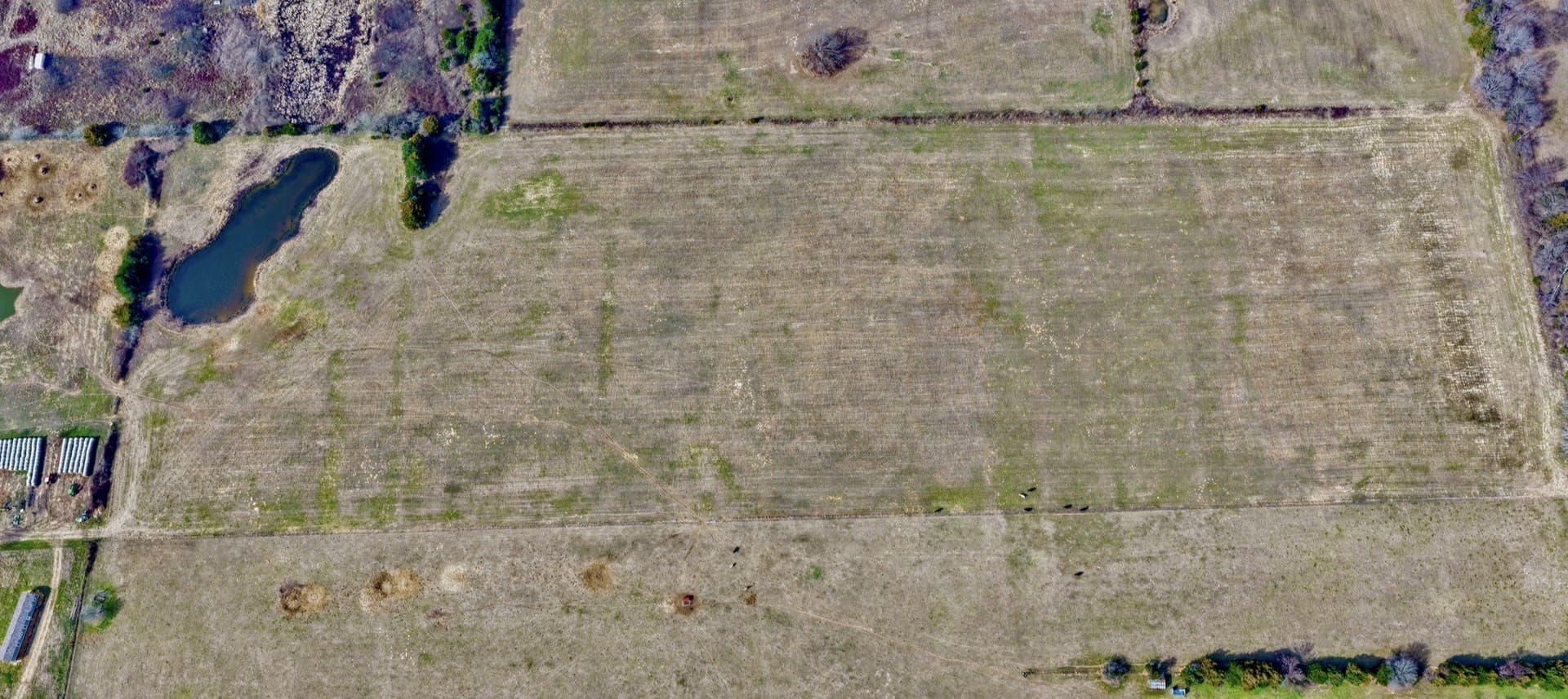 25 acres in Lamar County - photo 11