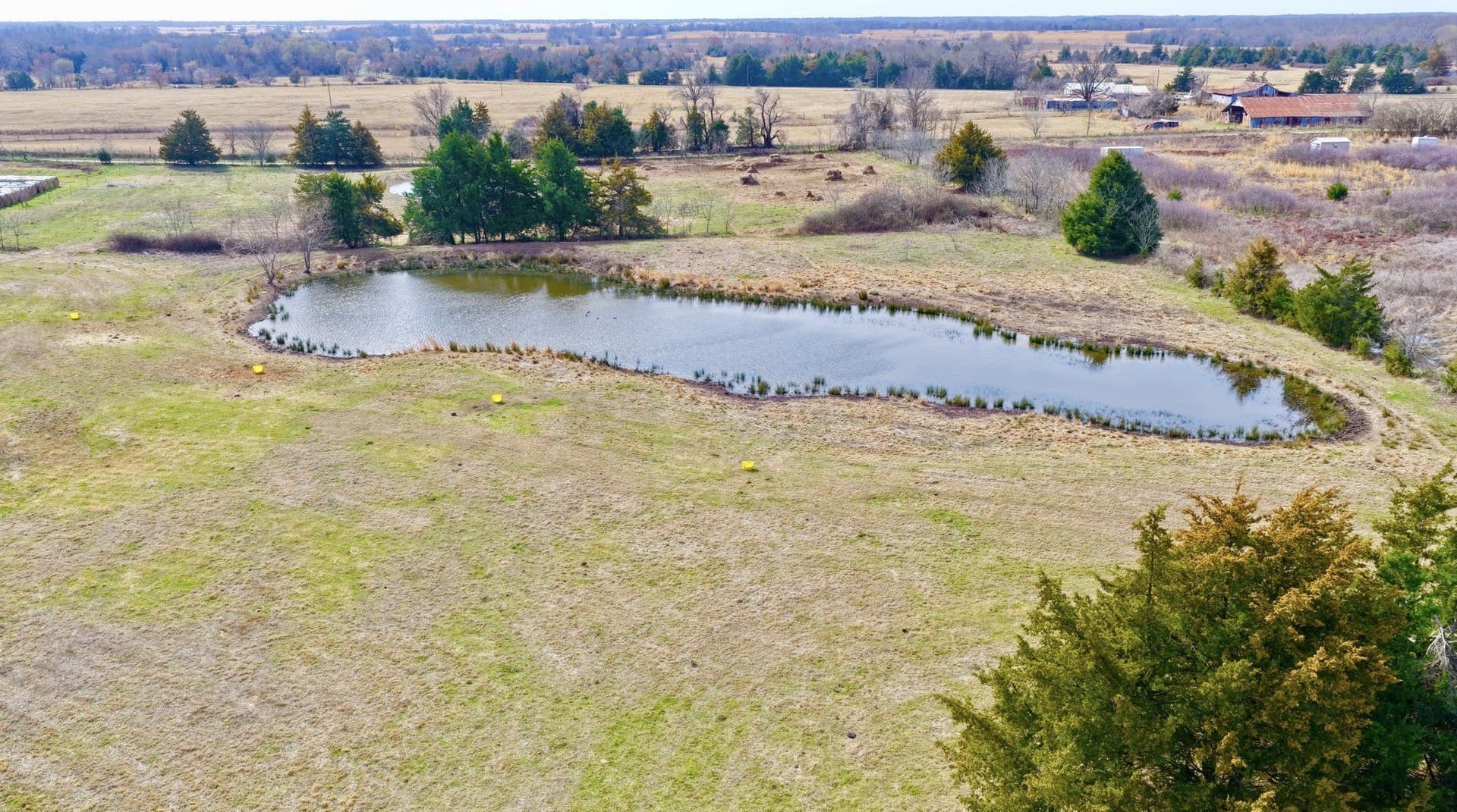 25 acres in Lamar County - photo 4