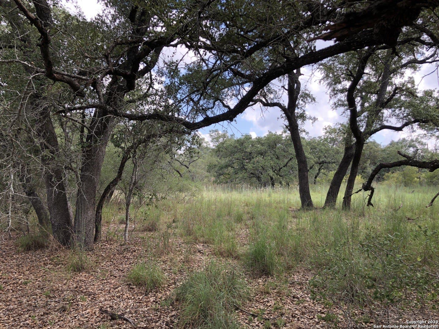 4.03 acres in Atascosa County - photo 11