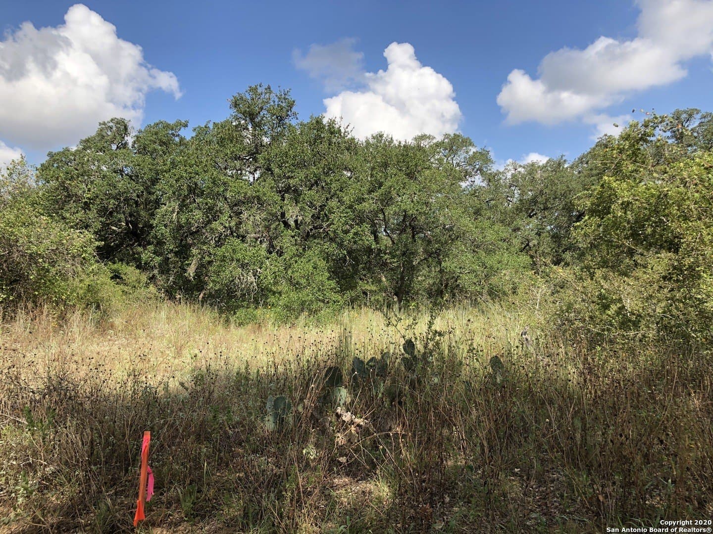 4.03 acres in Atascosa County - photo 12
