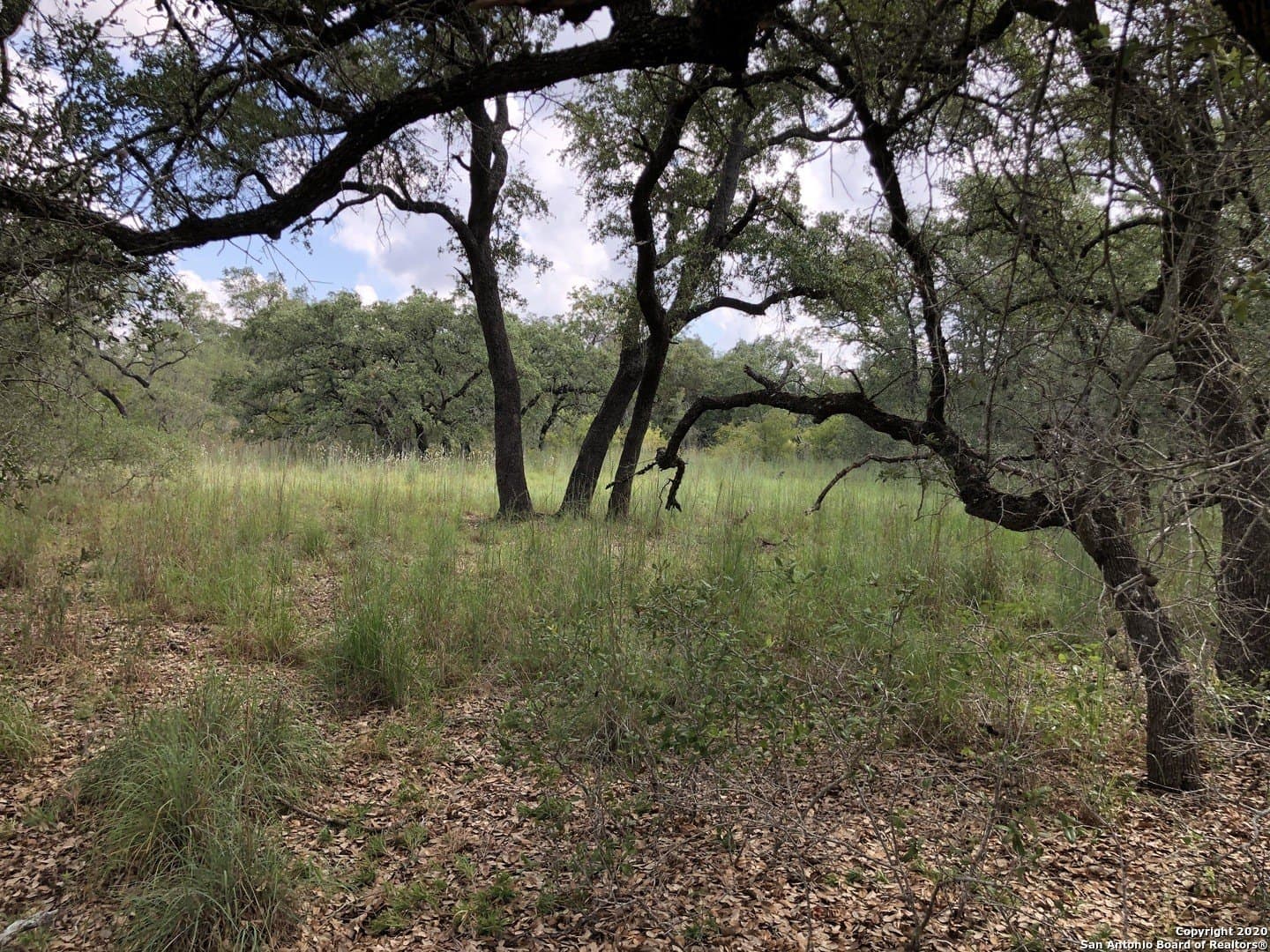 4.03 acres in Atascosa County - photo 10