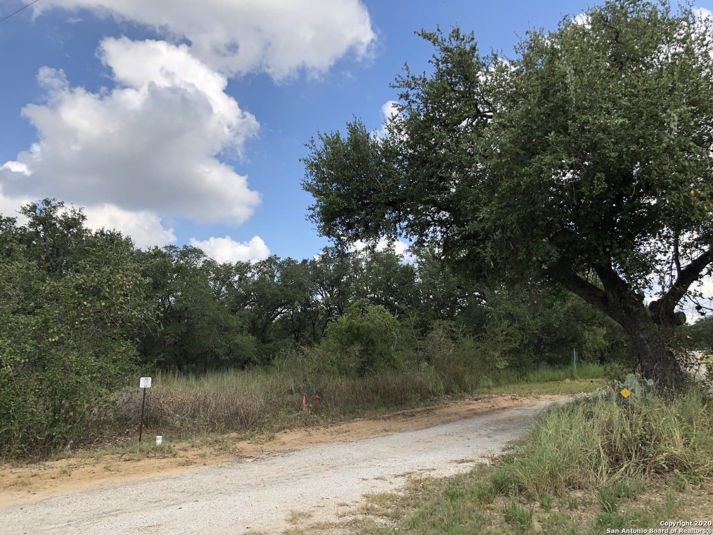 4.03 acres in Atascosa County gallery image 4