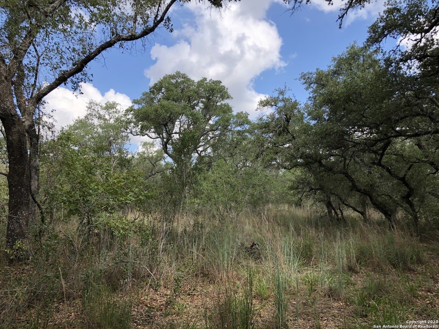 4.03 acres in Atascosa County - photo 9