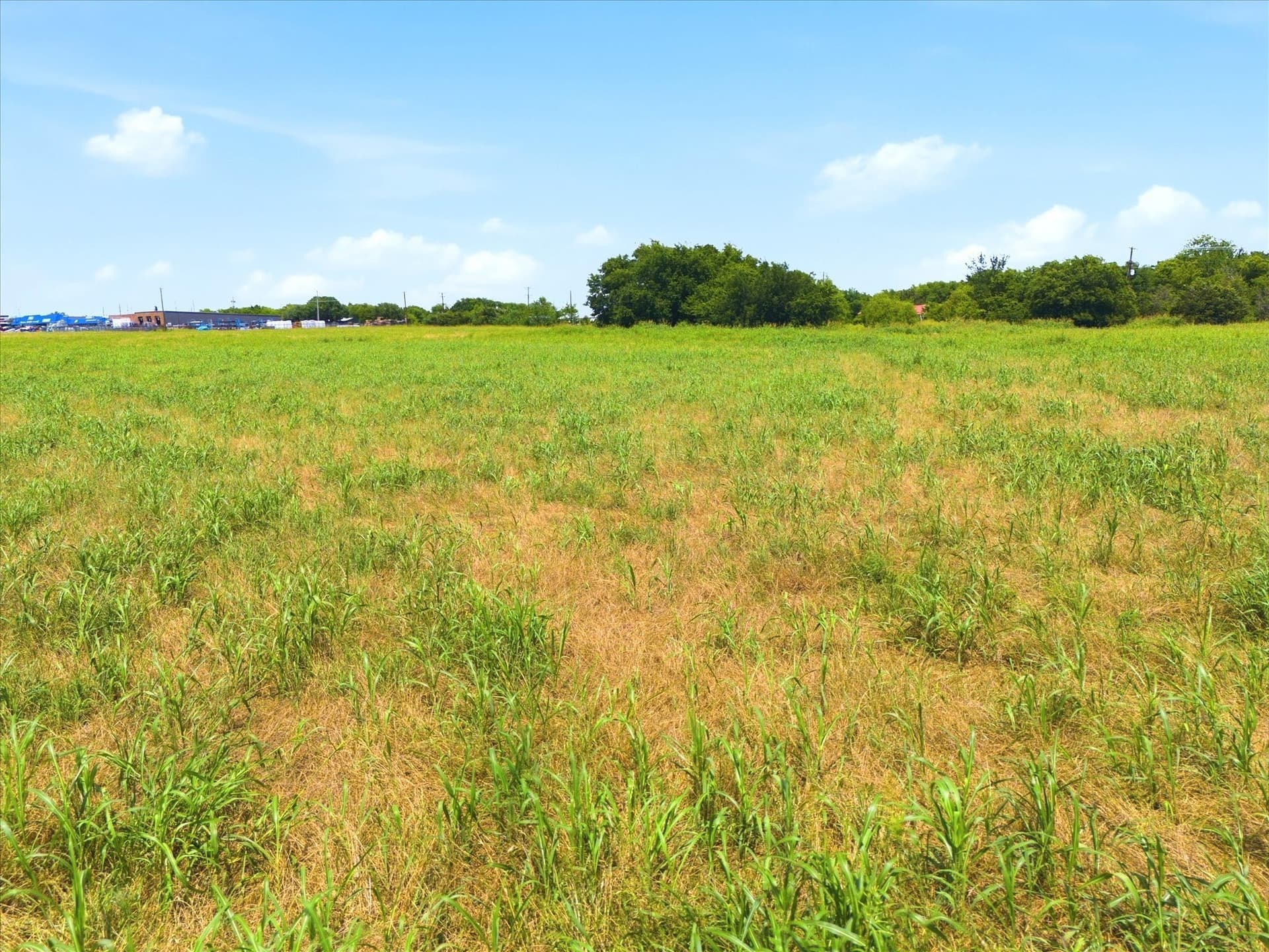 9.23 acres in Hunt County gallery image 4