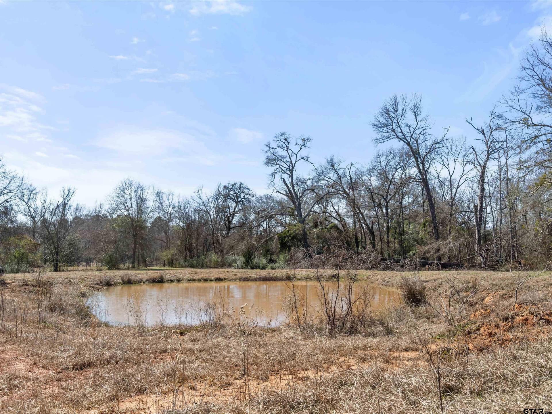 37.4 acres in Upshur County gallery image 3