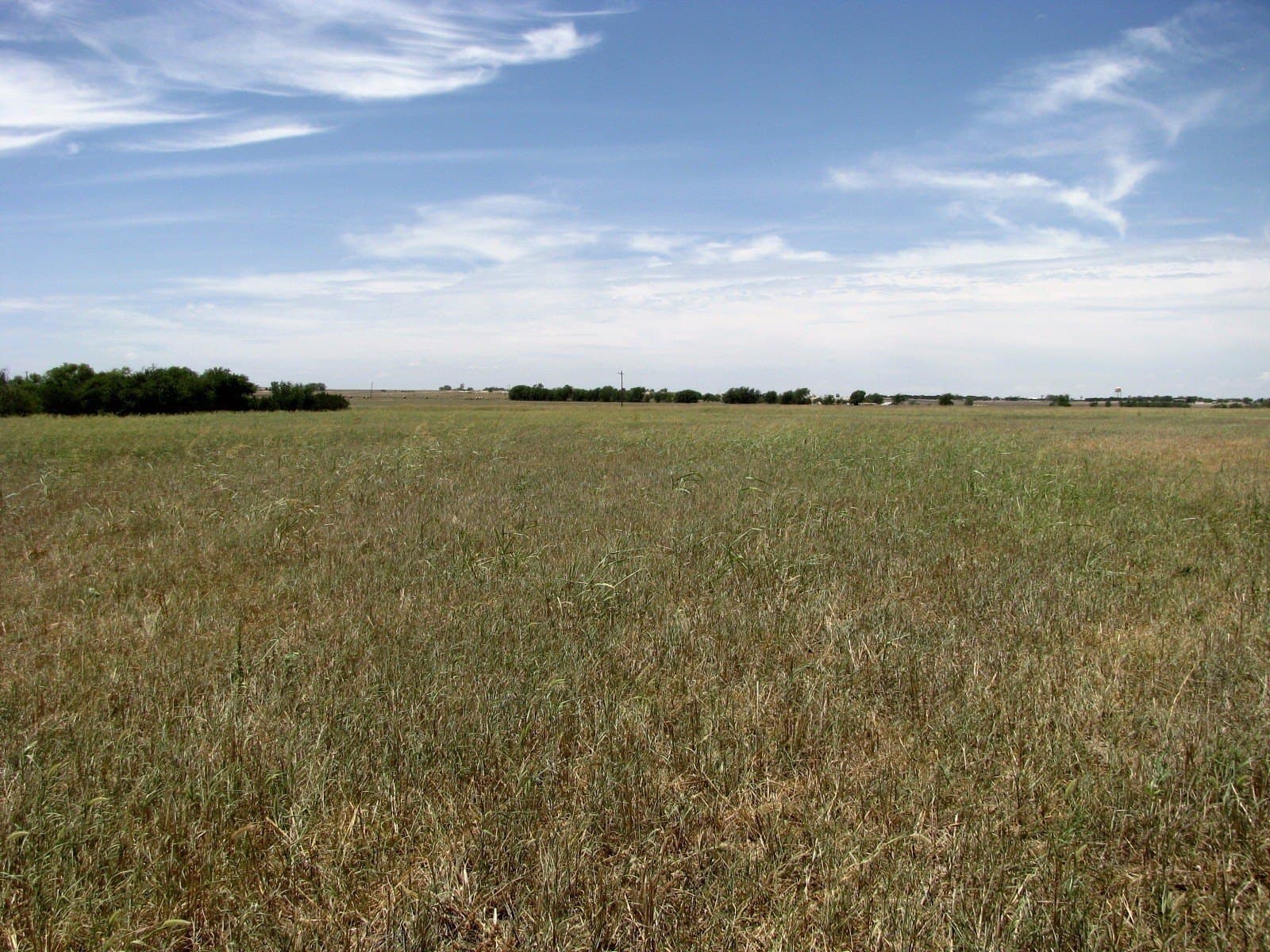 41.06 acres in Hamilton County - photo 20
