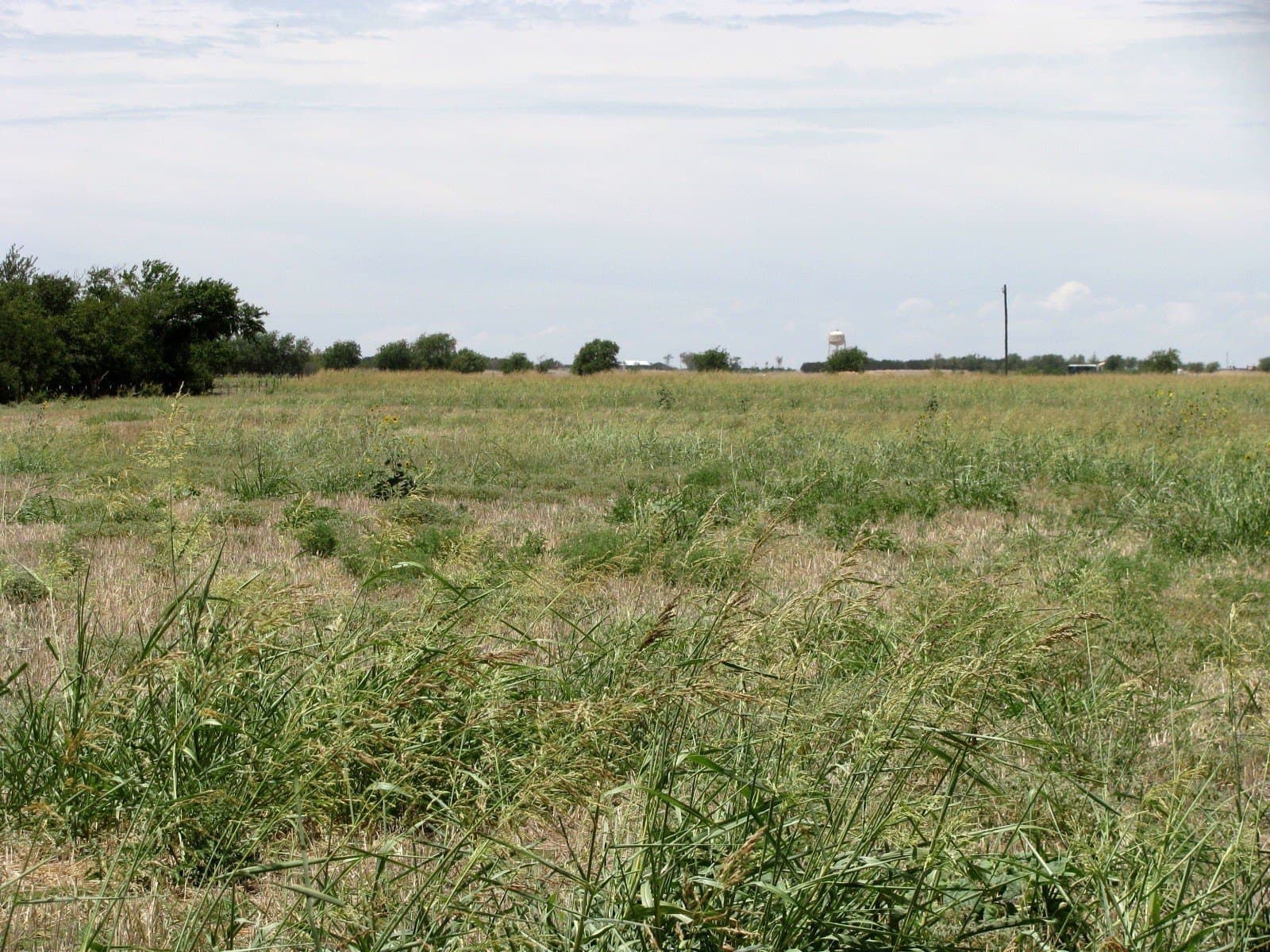 41.06 acres in Hamilton County - photo 17