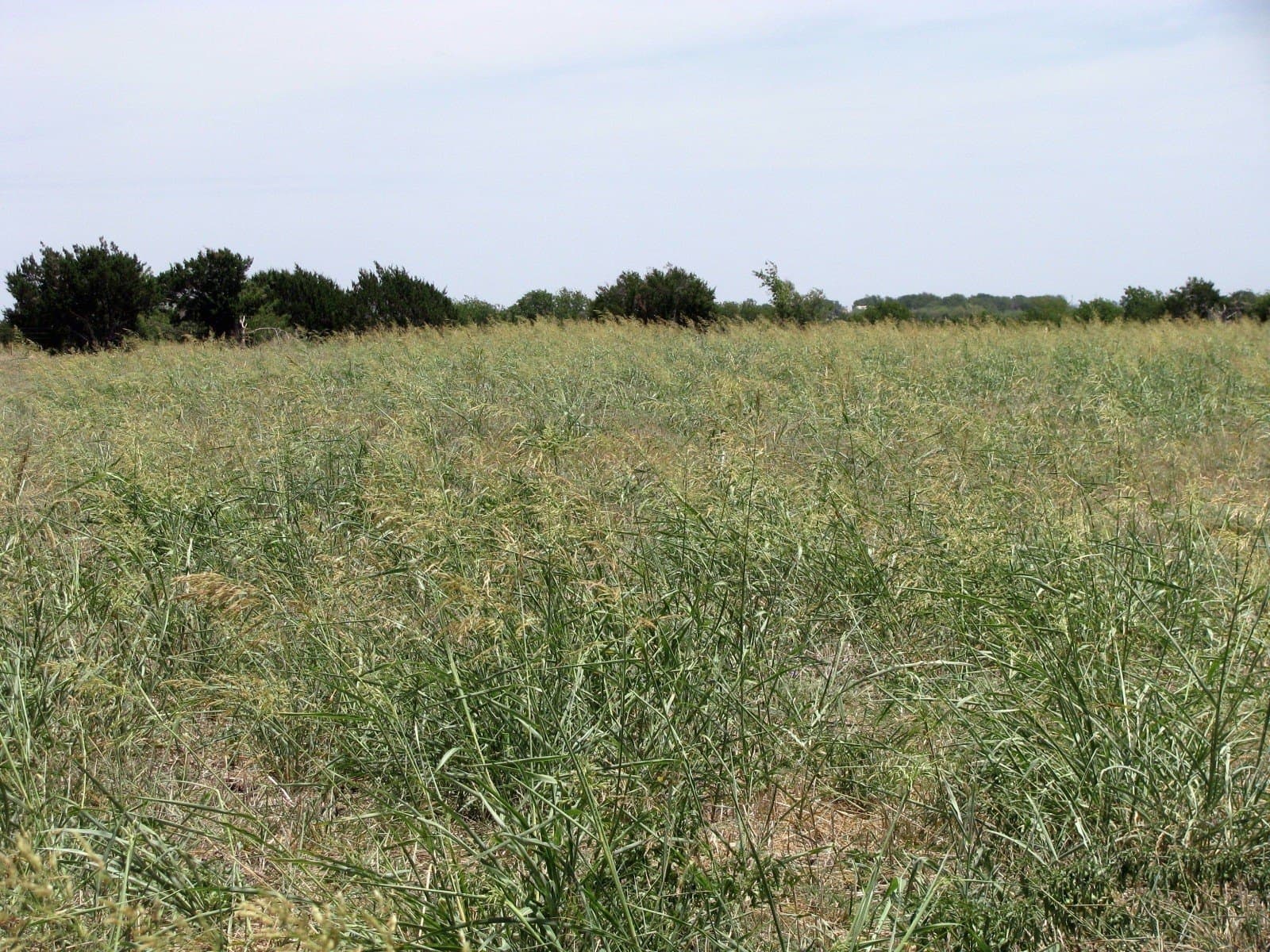 41.06 acres in Hamilton County - photo 14