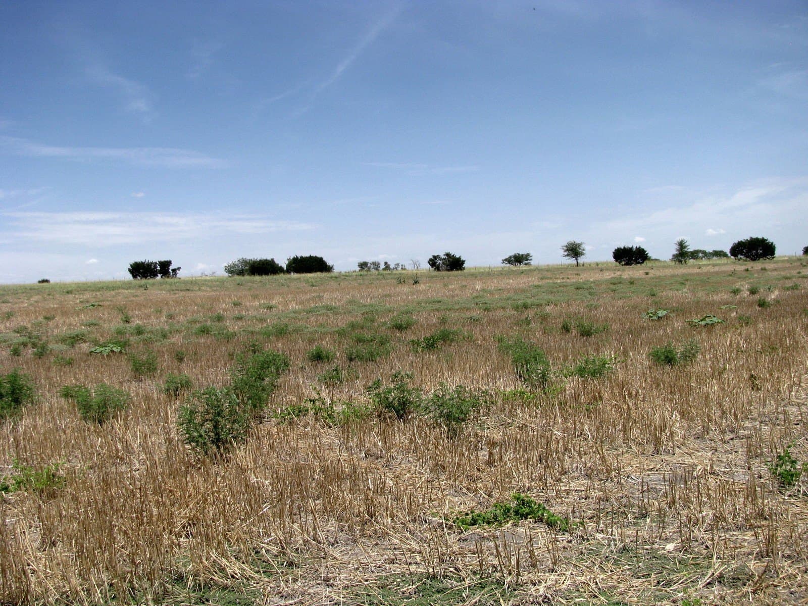 41.06 acres in Hamilton County - photo 22