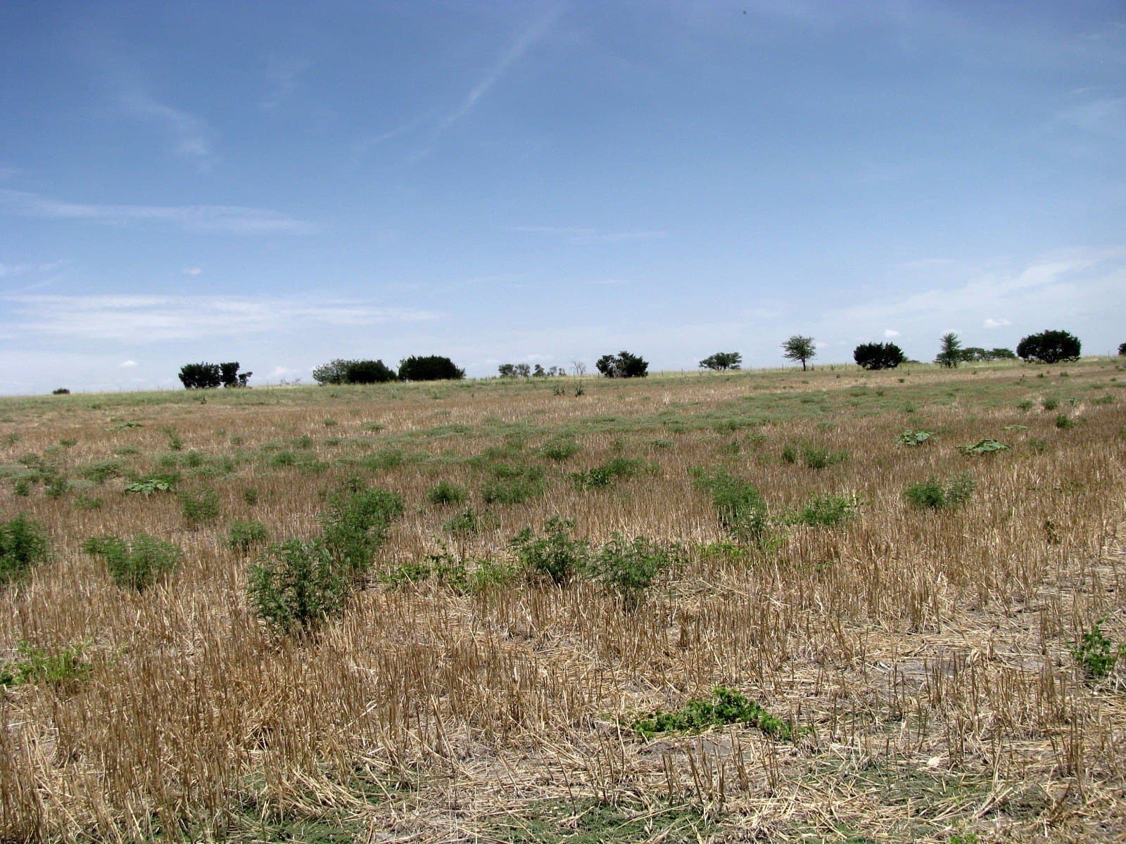41.06 acres in Hamilton County - photo 19