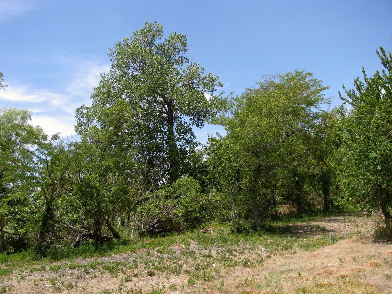 41.06 acres in Hamilton County - photo 12