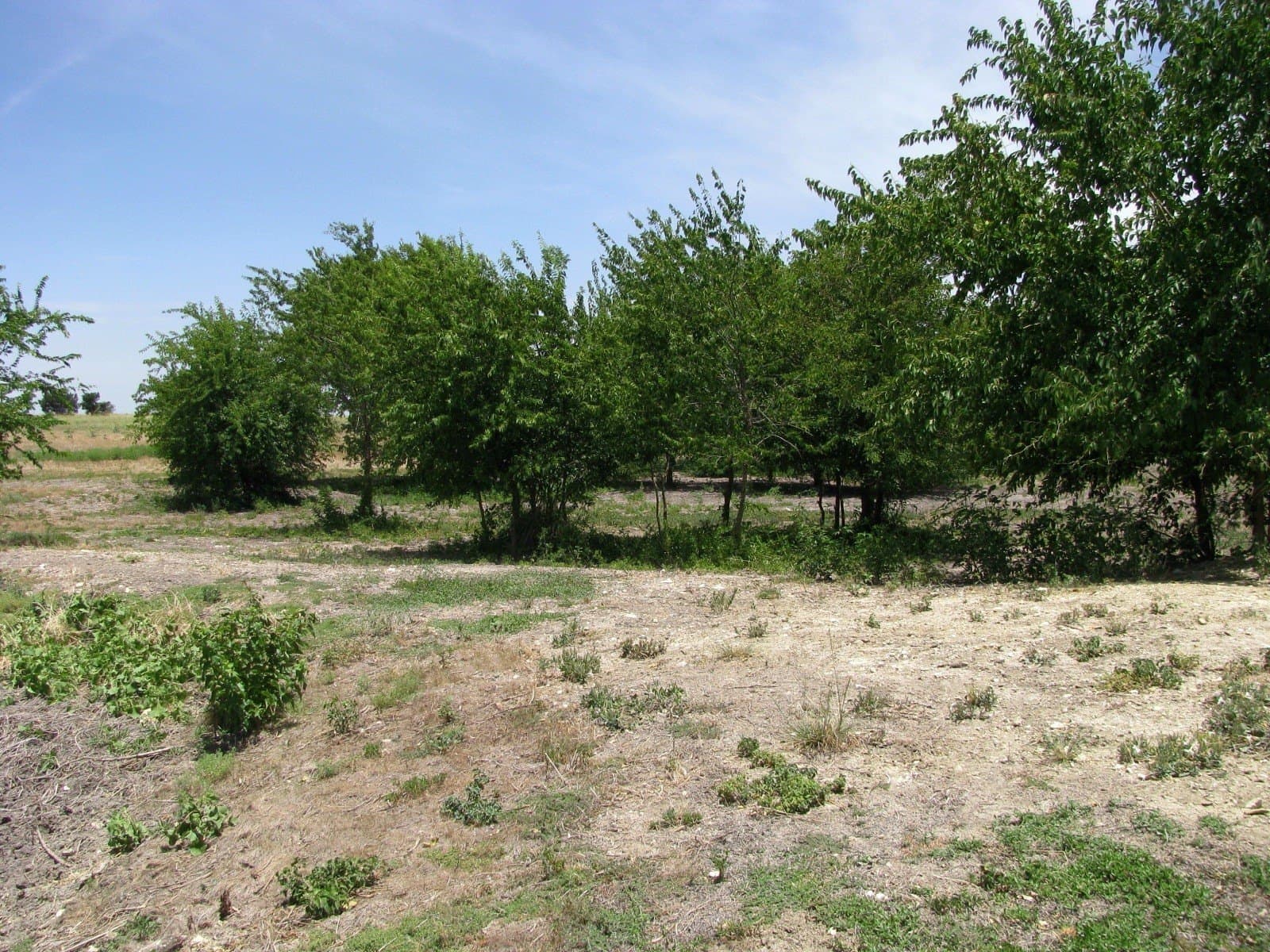 41.06 acres in Hamilton County - photo 4