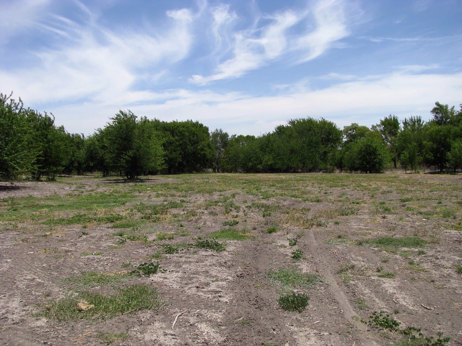 41.06 acres in Hamilton County - photo 7
