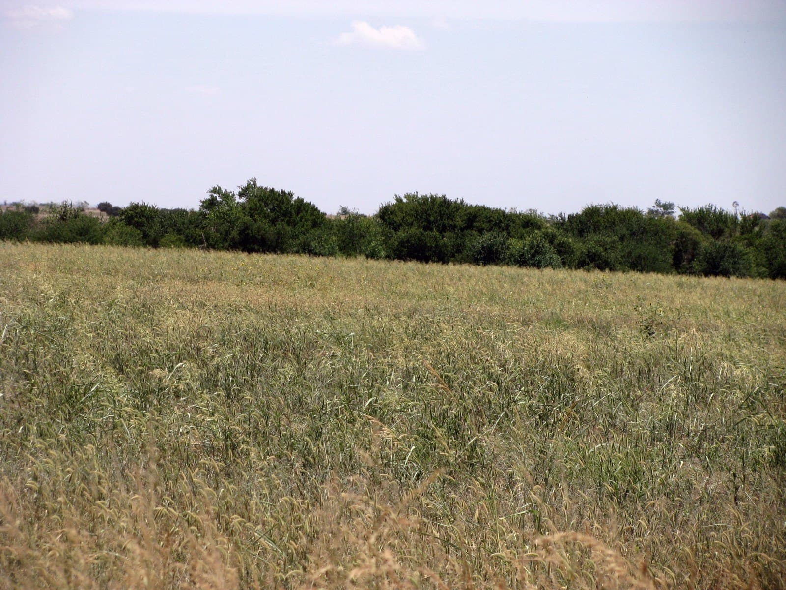41.06 acres in Hamilton County - photo 23