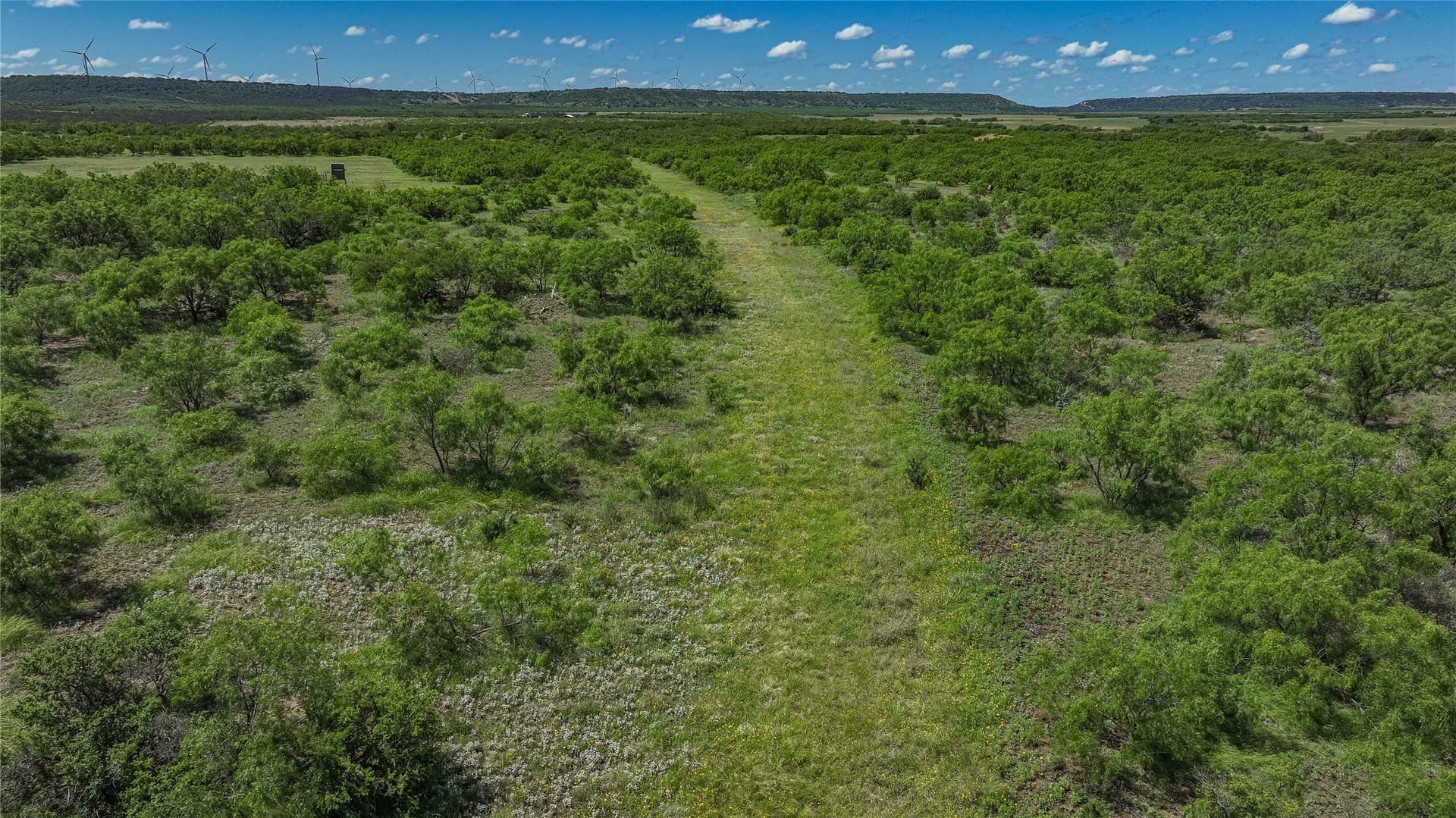 319.79 acres in McCulloch County - photo 34