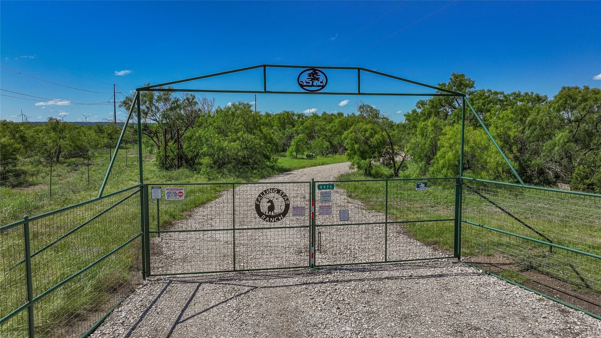 319.79 acres in McCulloch County gallery image 2