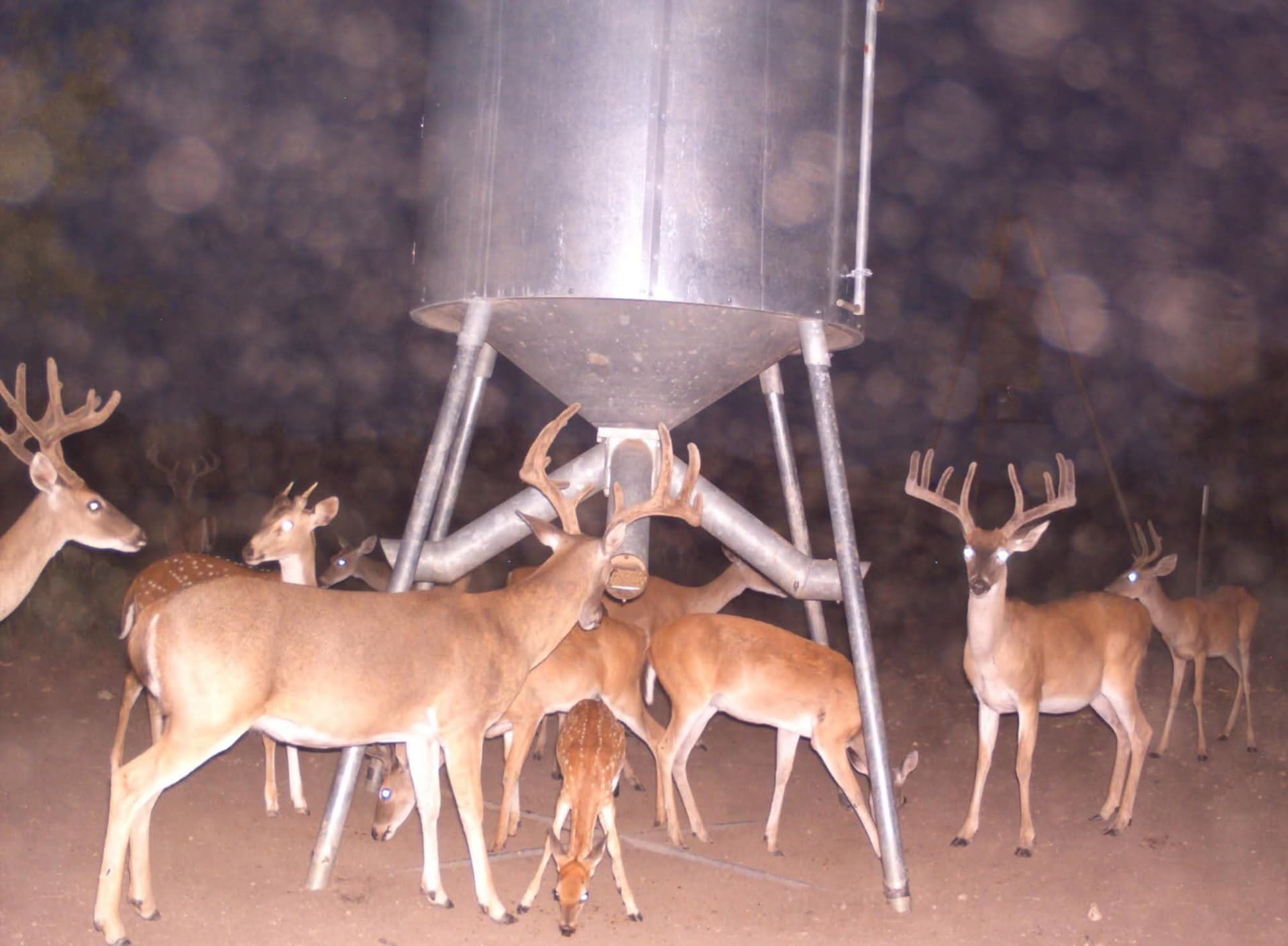 319.79 acres in McCulloch County - photo 39