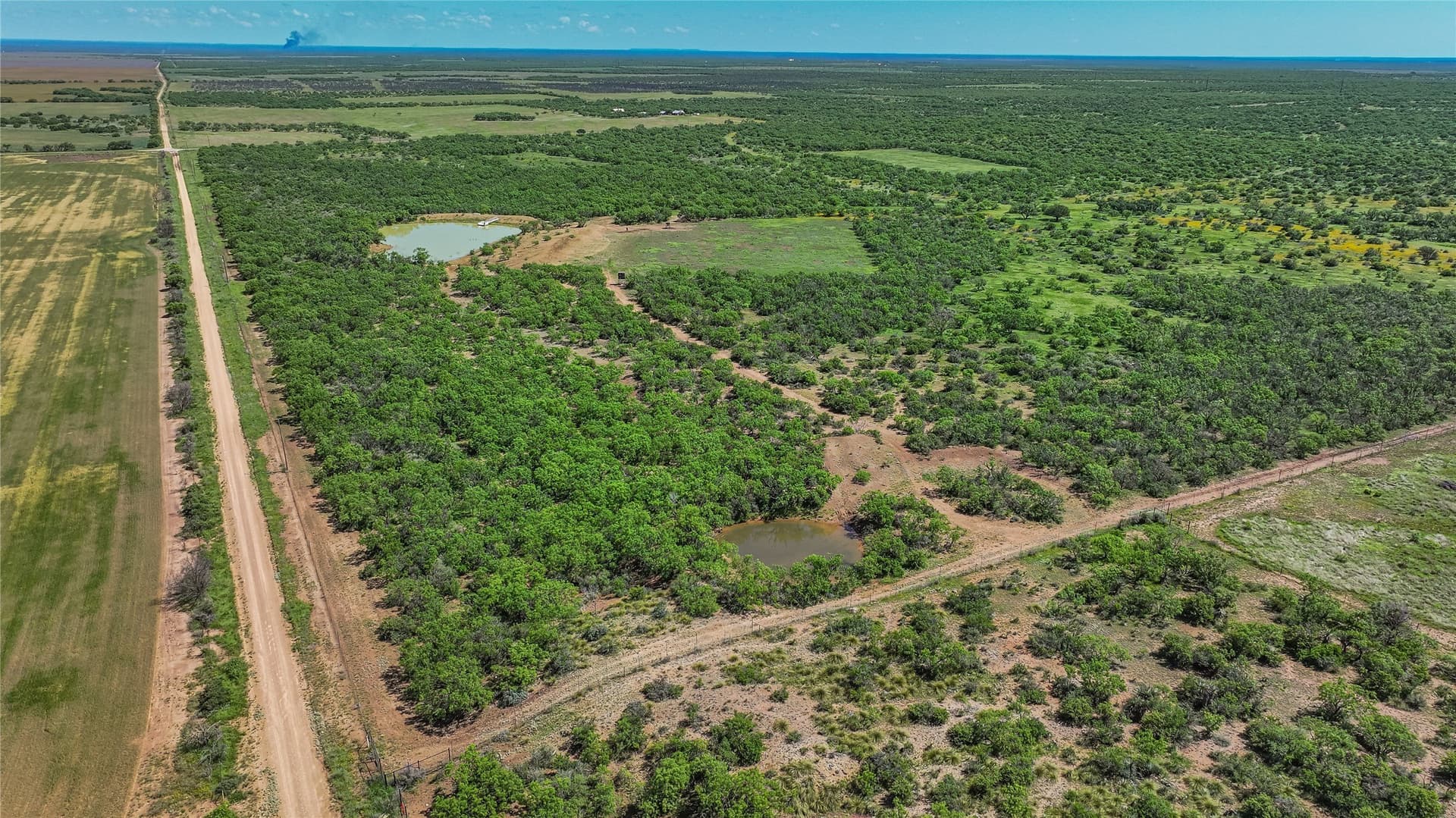 319.79 acres in McCulloch County - photo 16
