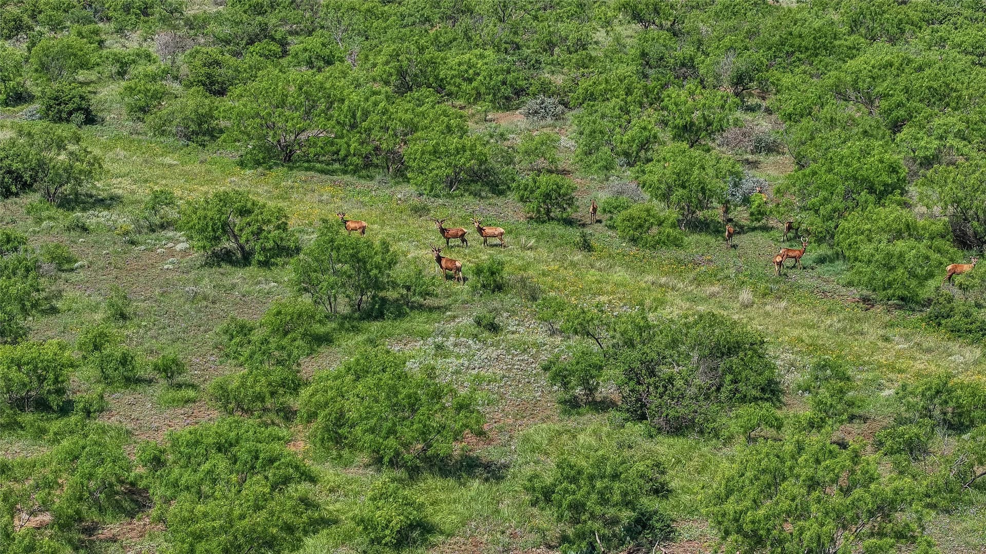 319.79 acres in McCulloch County - photo 31