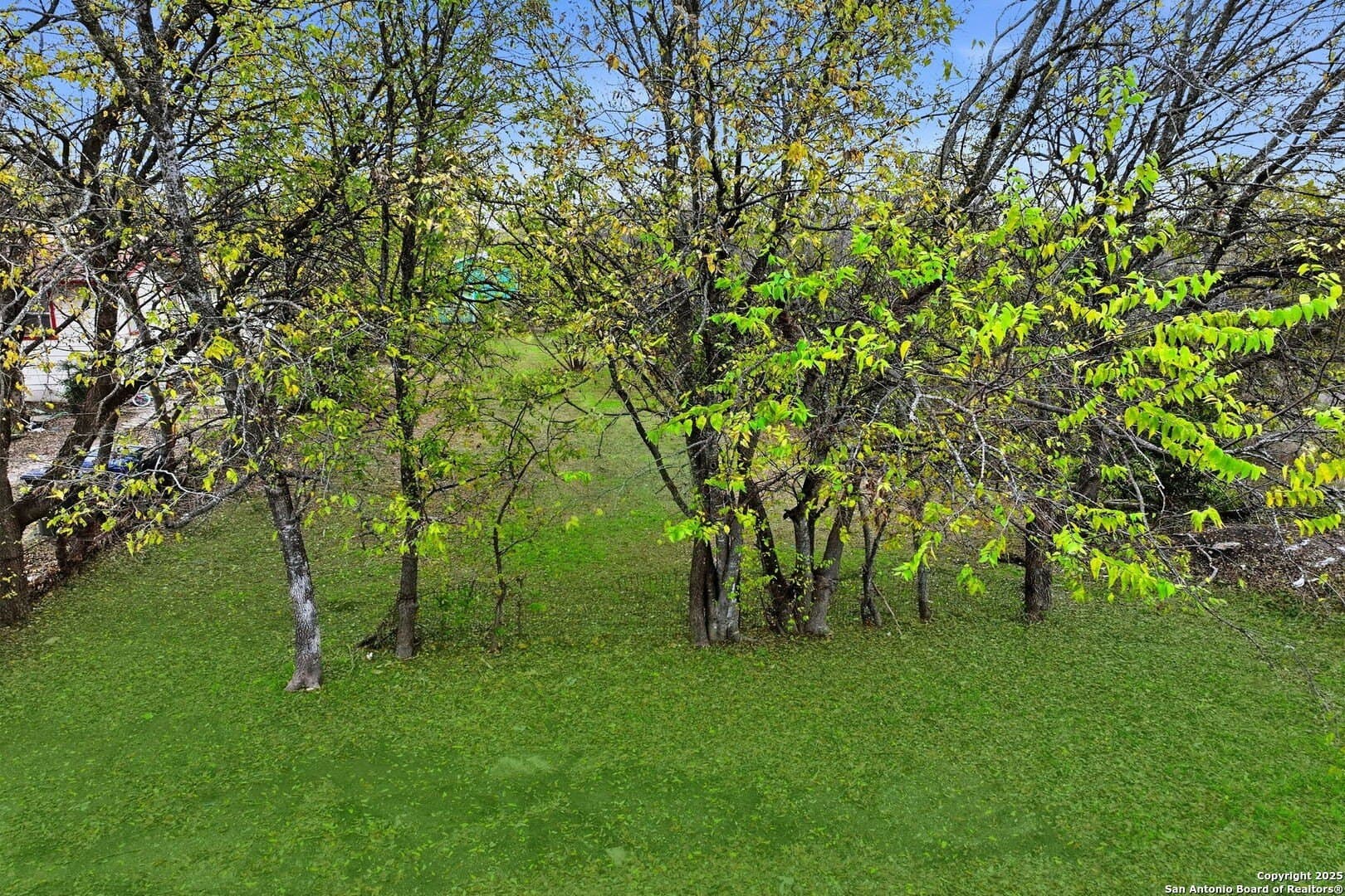 0.17 acres in Bexar County - photo 8