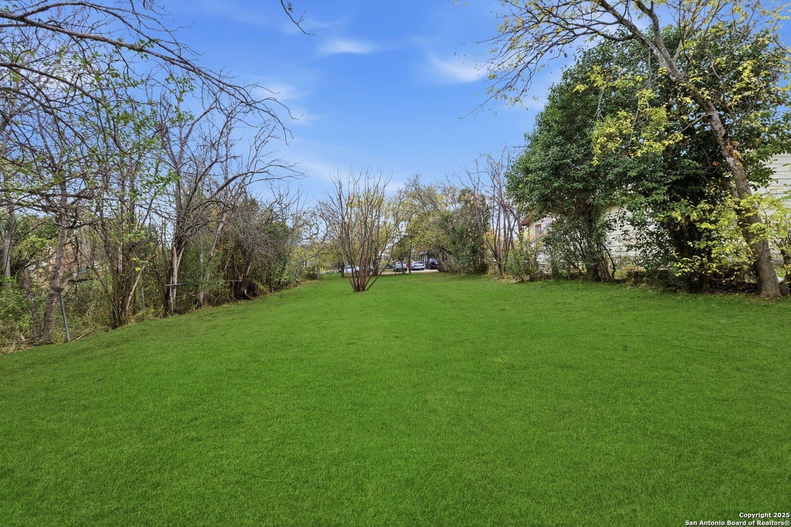 0.17 acres in Bexar County gallery image 4