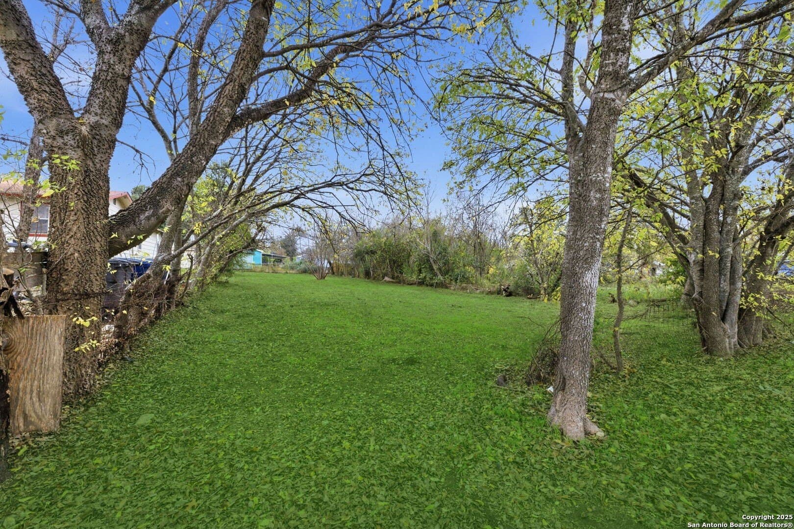 0.17 acres in Bexar County gallery image 2