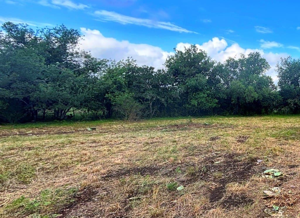 0.48 acres in Real County - photo 7