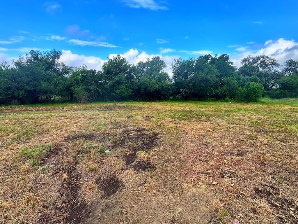 0.48 acres in Real County gallery image 2