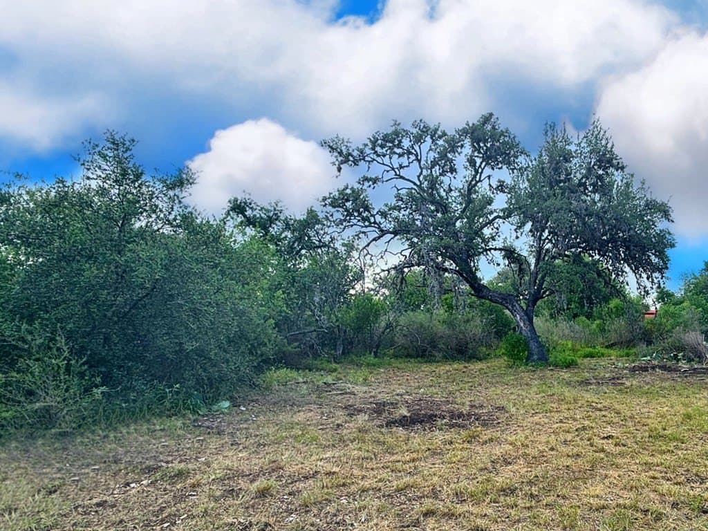 0.48 acres in Real County gallery image 3