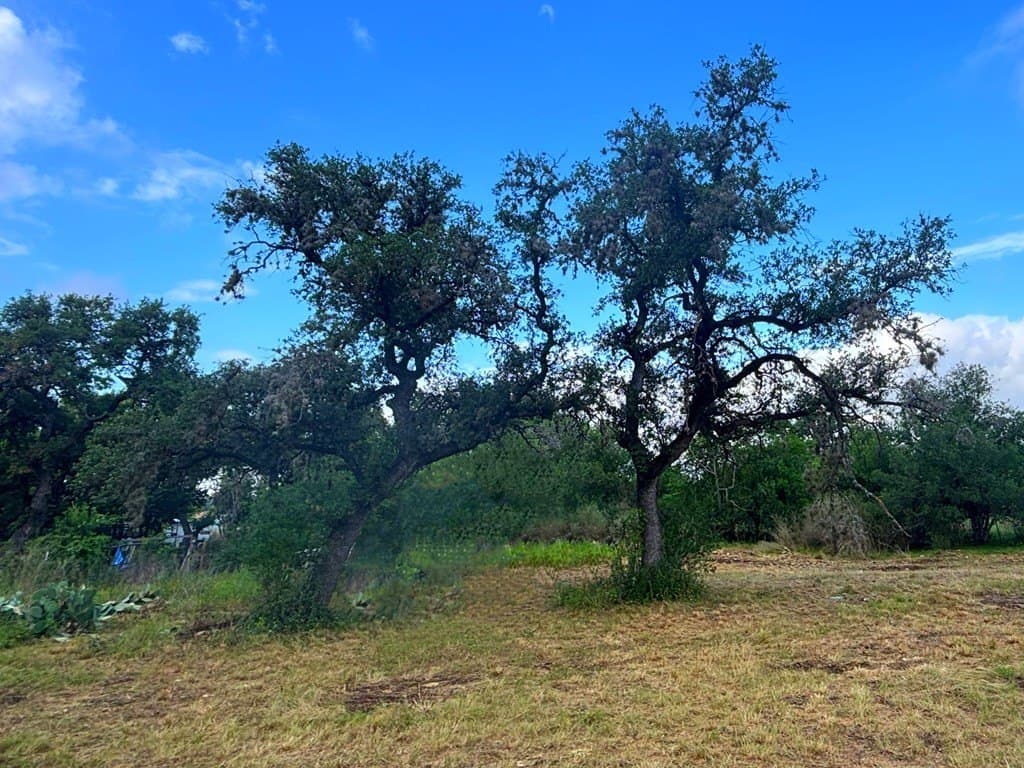 0.48 acres in Real County gallery image 4
