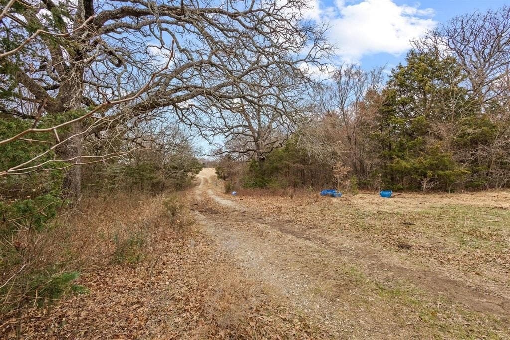 99 acres in Grayson County featured view
