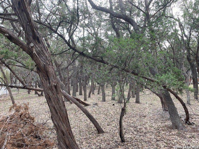 0.14 acres in Bandera County gallery image 3