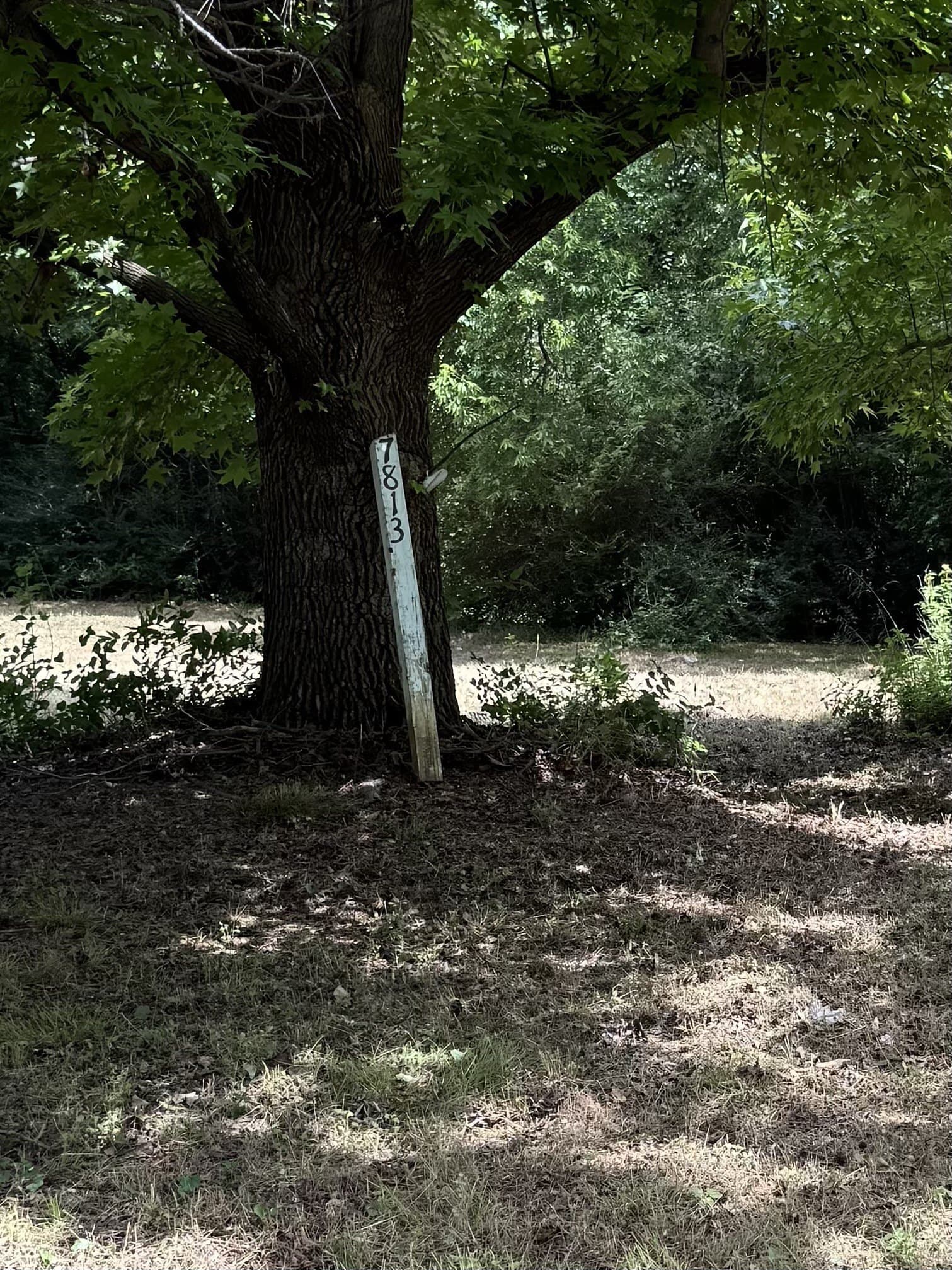 0.41 acres in Tarrant County gallery image 2
