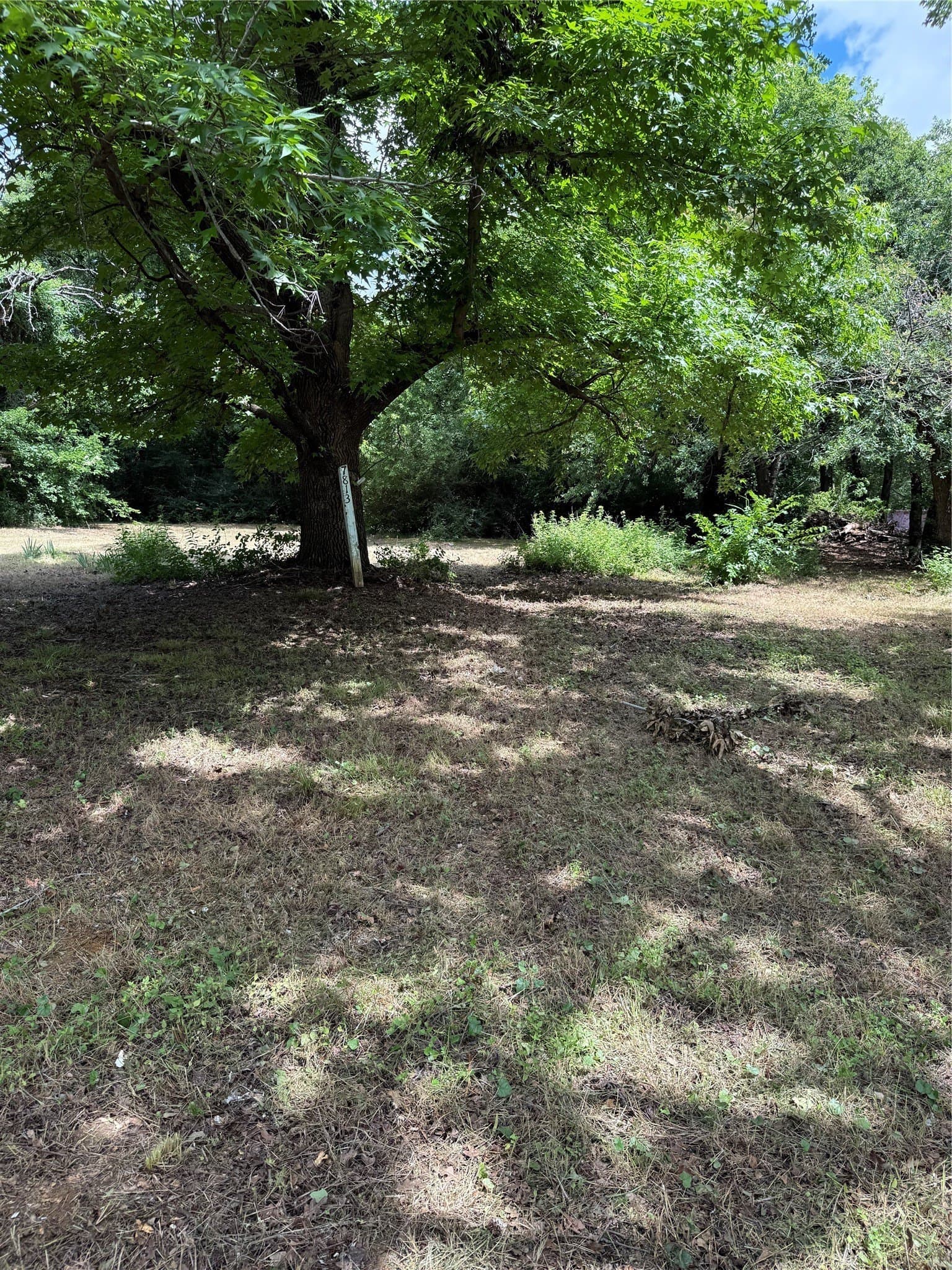 0.41 acres in Tarrant County gallery image 3