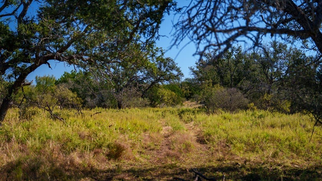 100 acres in McCulloch County - photo 13
