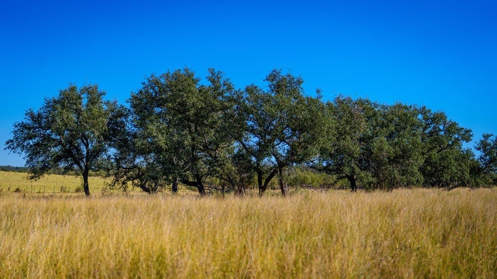 100 acres in McCulloch County - photo 22